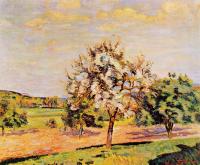 Guillaumin, Armand - Apple Trees in Bloom
